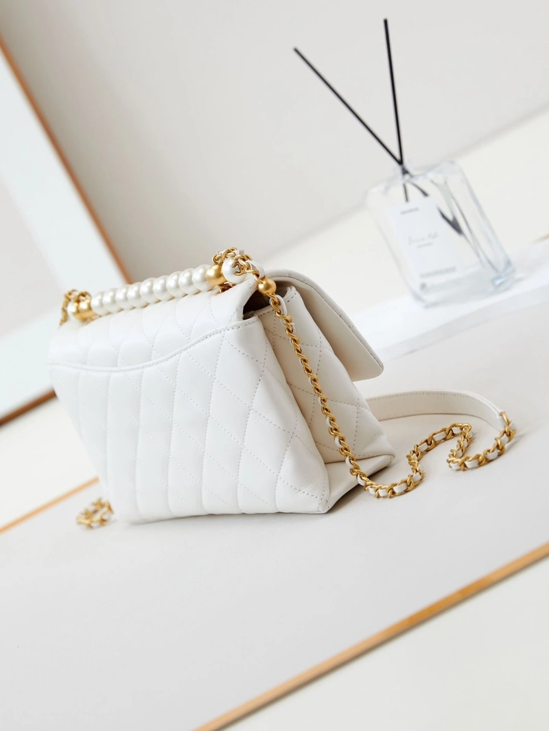Chanel WOC Bags 4017-1569