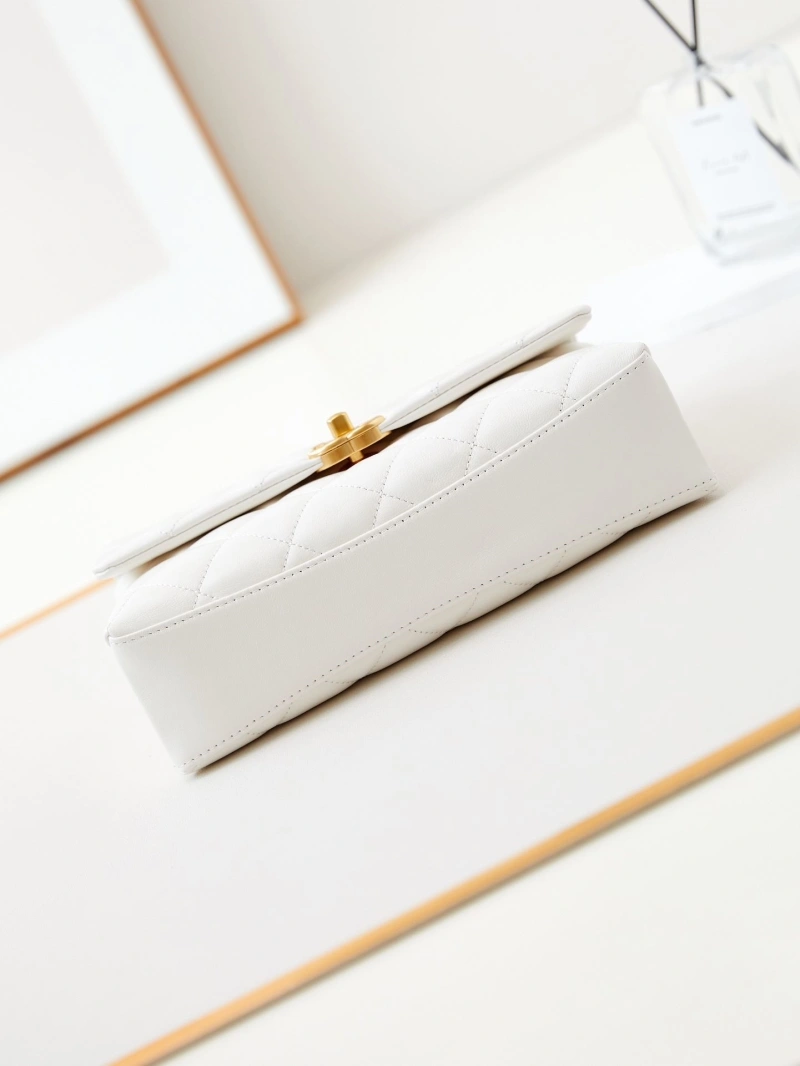 Chanel WOC Bags 4017-1569