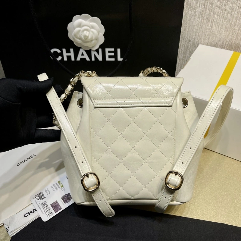 Chanel Backpacks 4017-1619