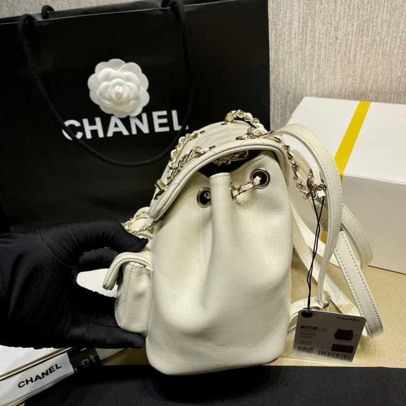 Chanel Backpacks 4017-1619