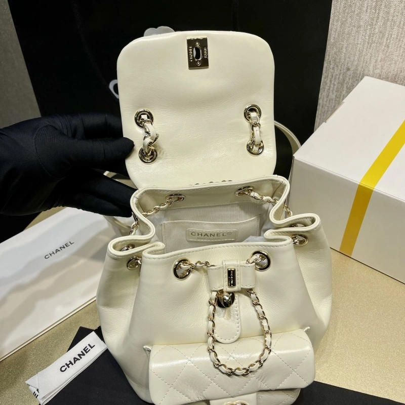 Chanel Backpacks 4017-1619