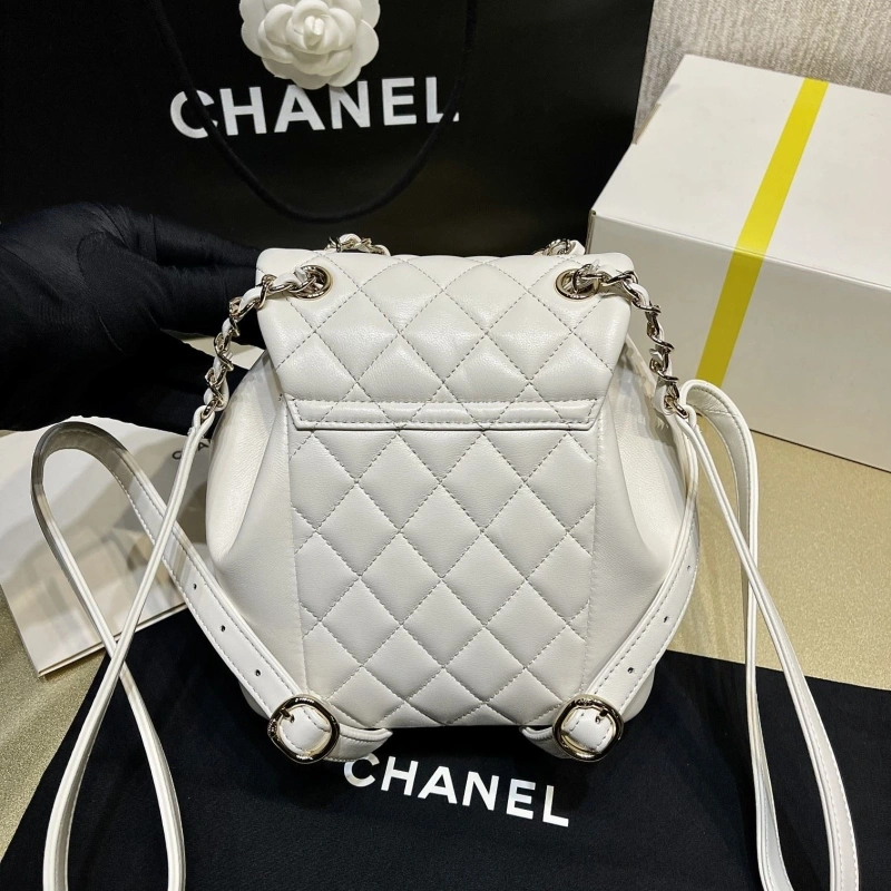 Chanel Backpacks 4017-1621