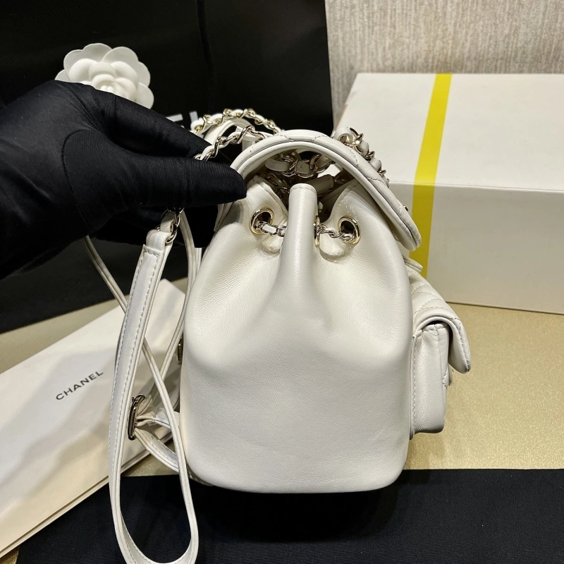 Chanel Backpacks 4017-1621