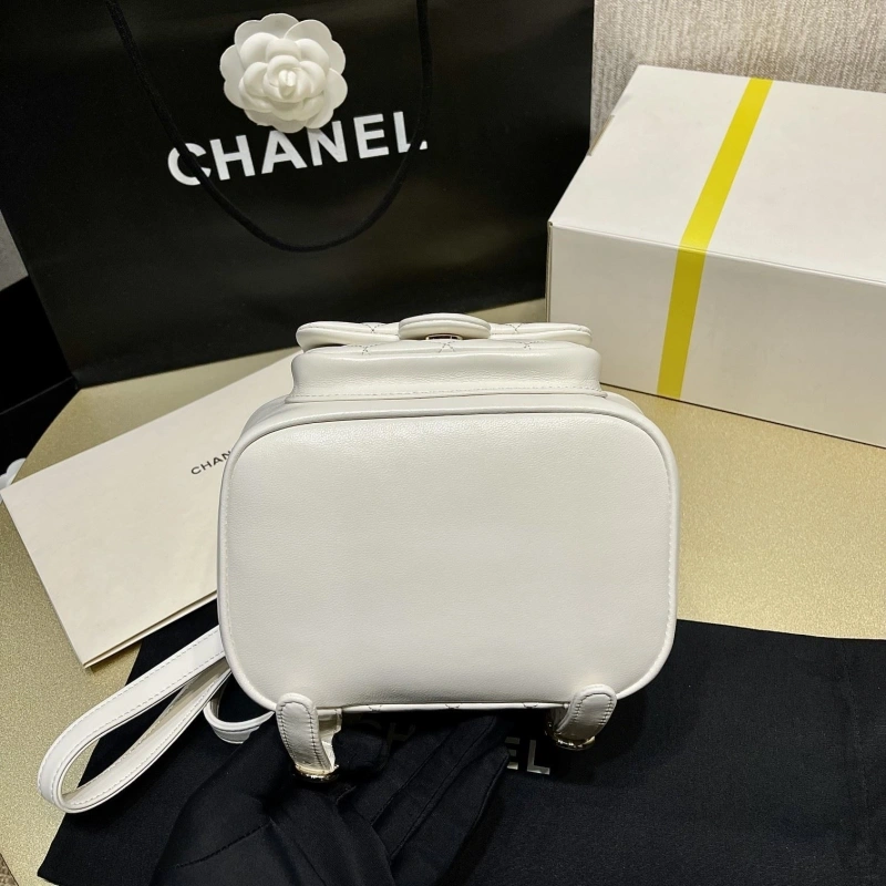 Chanel Backpacks 4017-1621