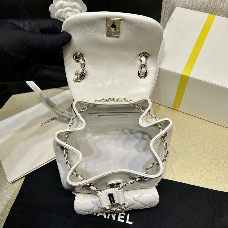 Chanel Backpacks 4017-1621