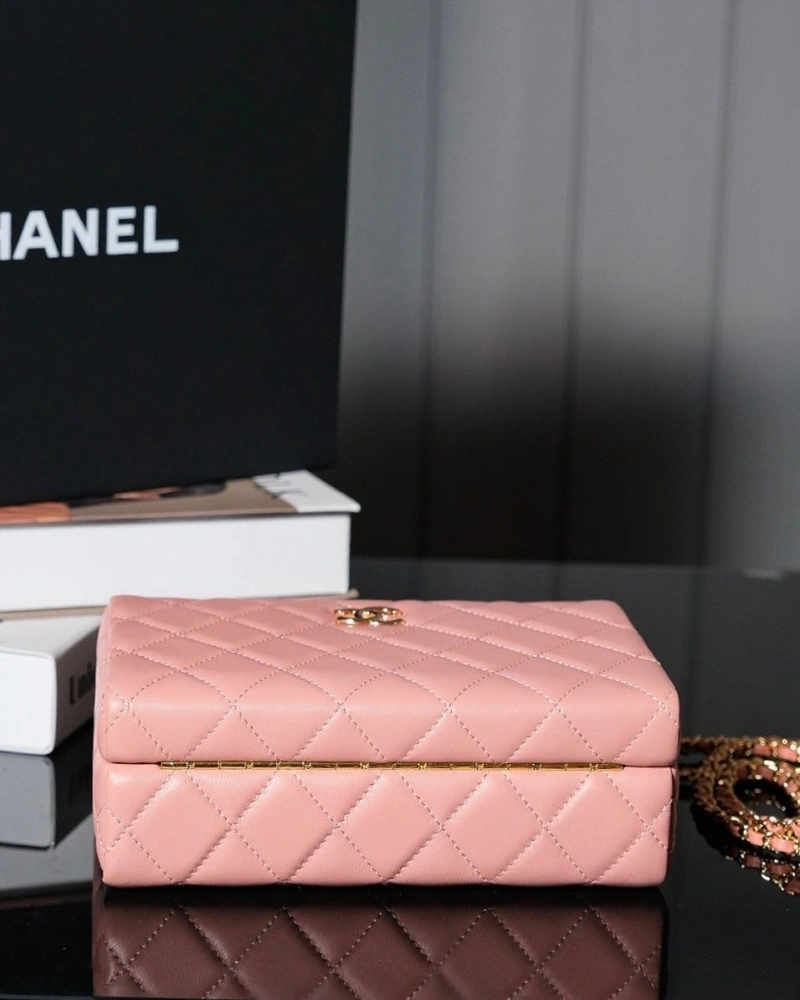 Chanel Cosmetic Bags 4017-1650