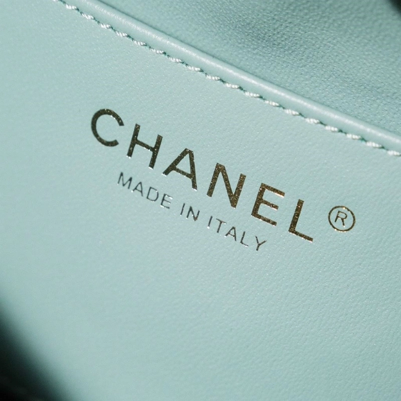 Chanel Satchel Bags 4017-1654