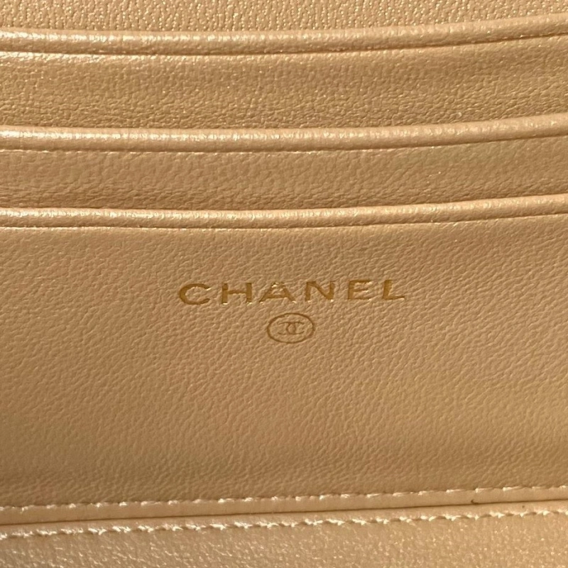 Chanel Cosmetic Bags 4017-1657