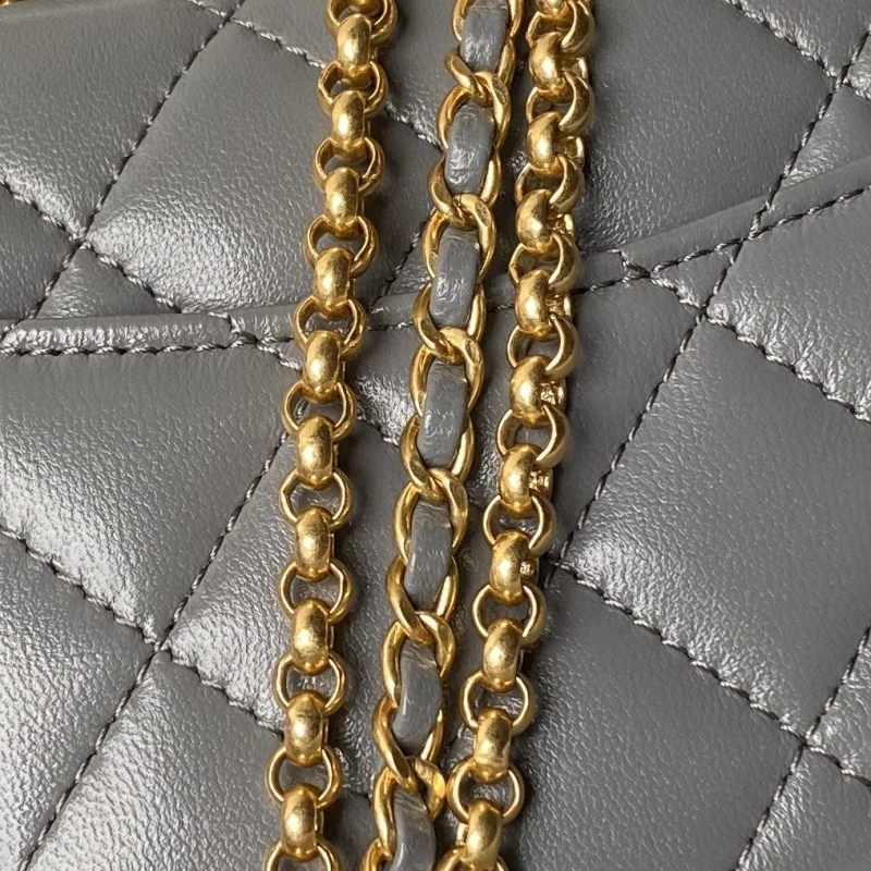 Chanel 19 Bags 4017-1687