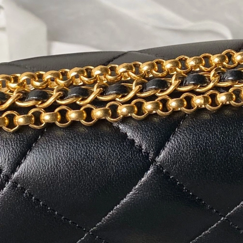 Chanel 19 Bags 4017-1688