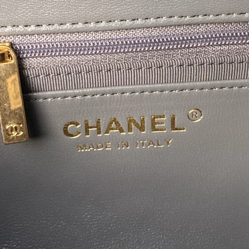 Chanel 19 Bags 4017-1689