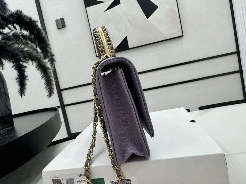 Chanel Top Handle Bags 4017-1723