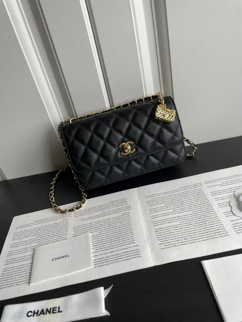Chanel Satchel Bags 4017-1828