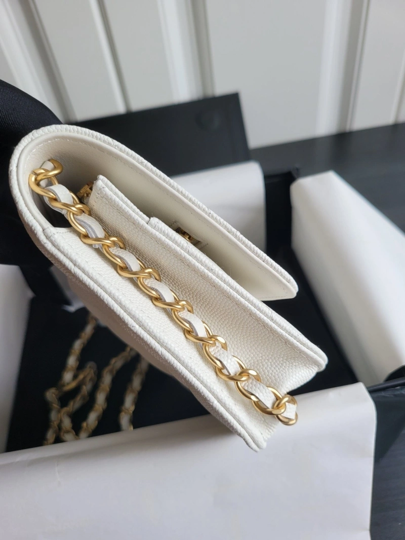 Chanel WOC Bags 4017-1829