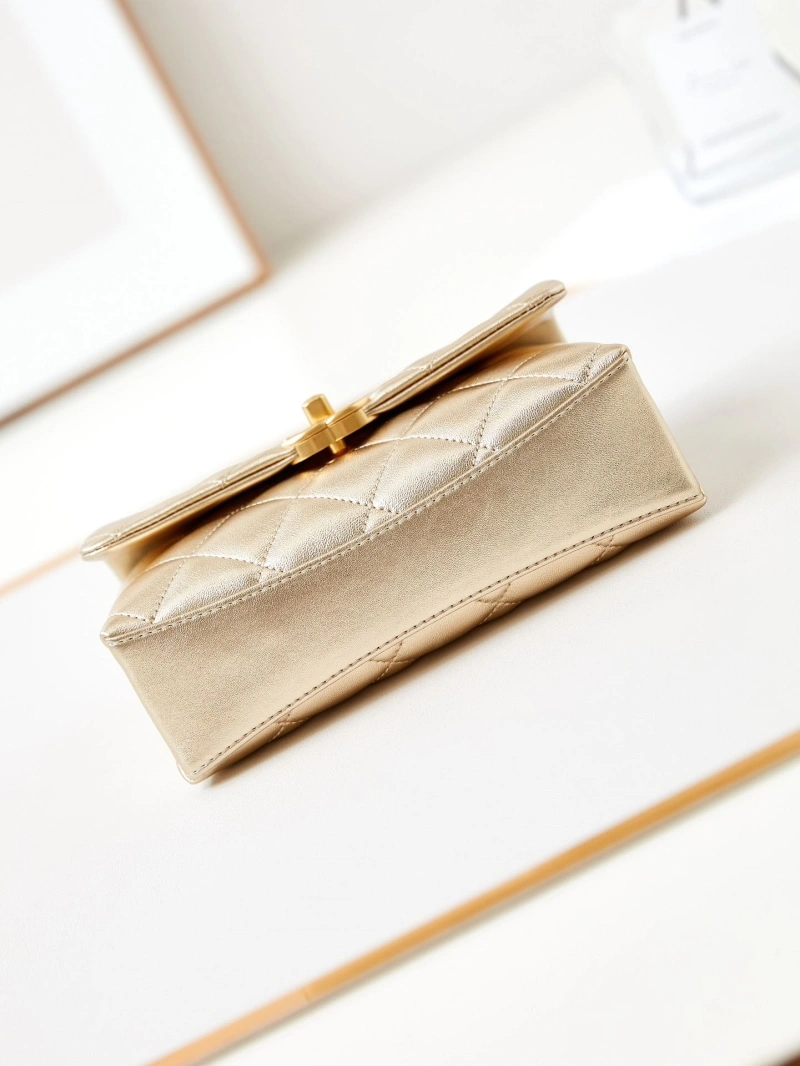 Chanel WOC Bags 4017-1839