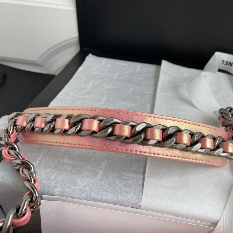 Chanel 19 Bags 4017-1890