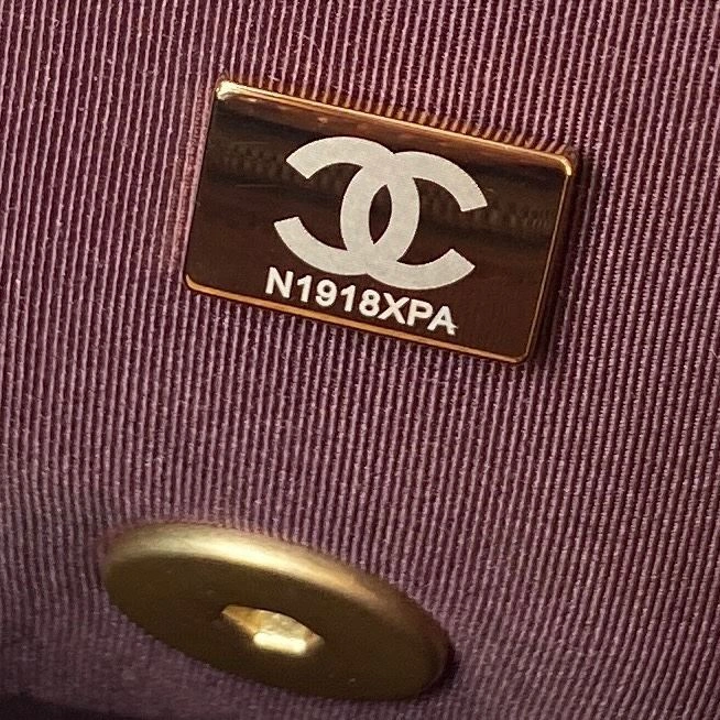 Chanel 19 Bags 4017-1894