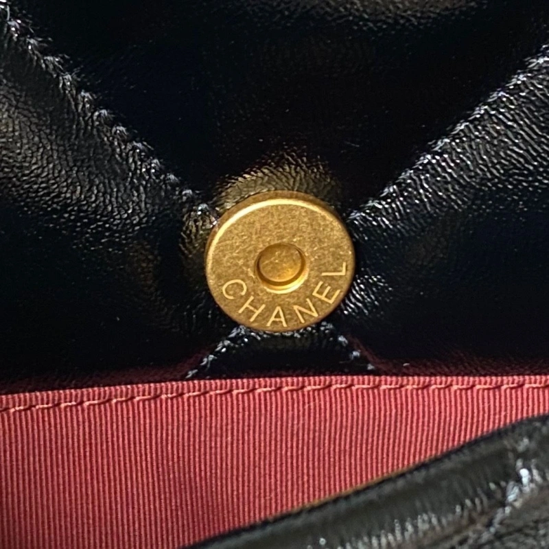 Chanel 19 Bags 4017-1895