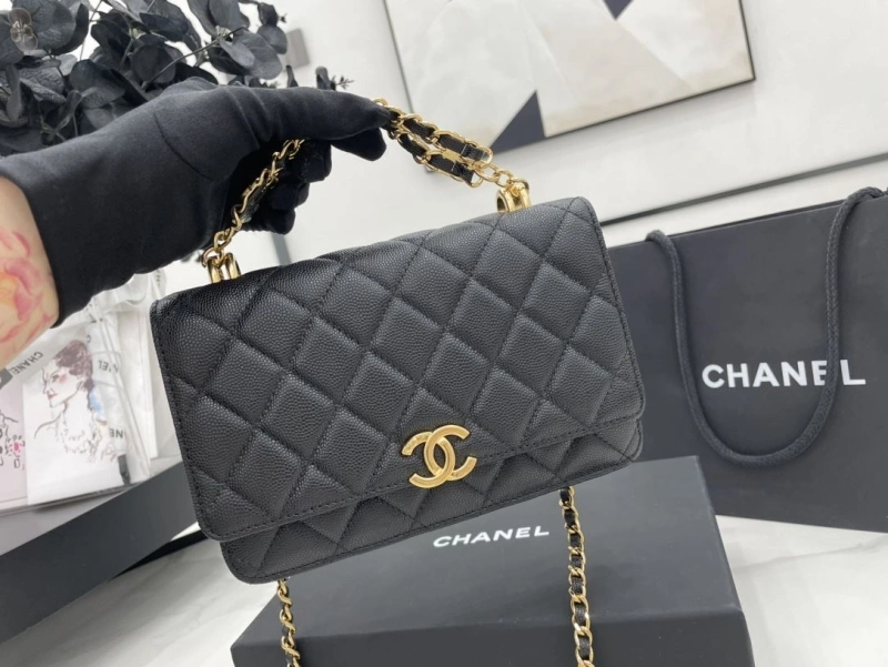 Chanel 19 Bags 4017-1963