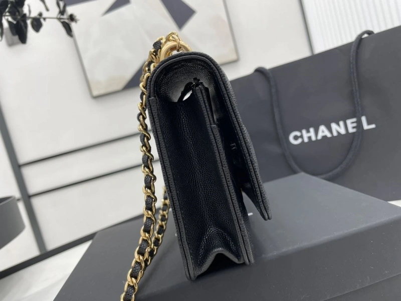 Chanel 19 Bags 4017-1963