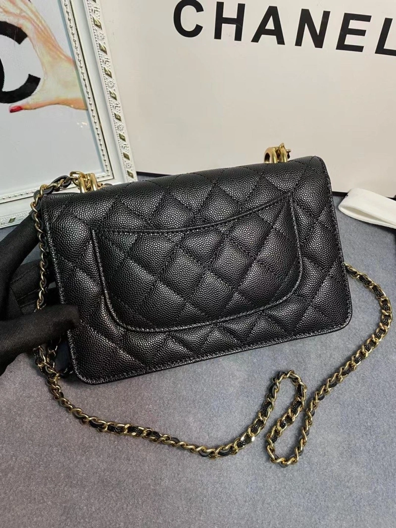 Chanel 19 Bags 4017-1970