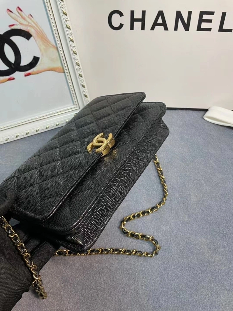 Chanel 19 Bags 4017-1970