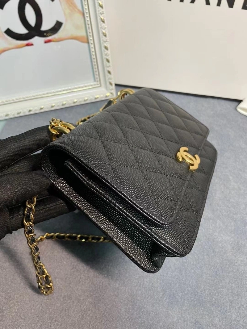 Chanel 19 Bags 4017-1970