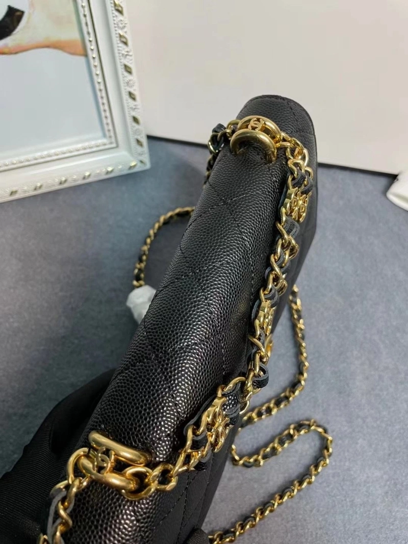 Chanel 19 Bags 4017-1970