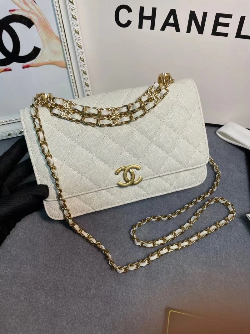 Chanel 19 Bags 4017-1971