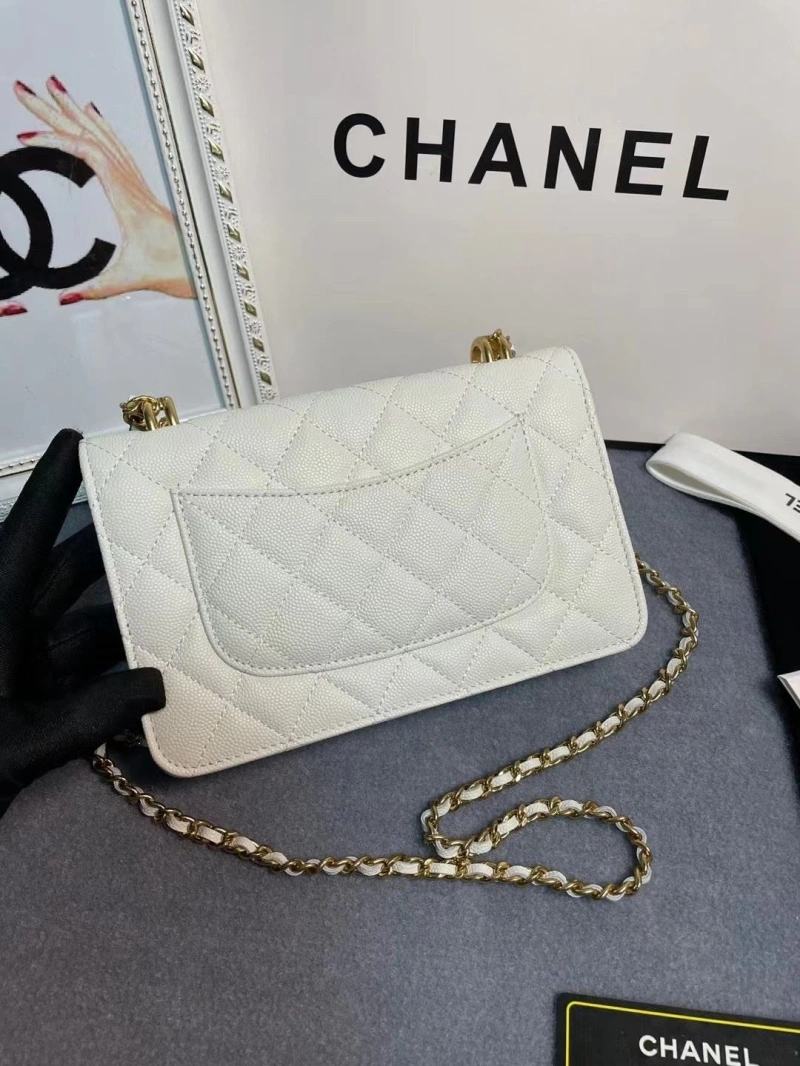 Chanel 19 Bags 4017-1971