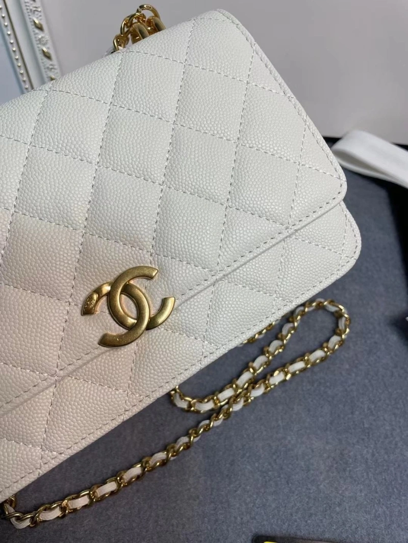 Chanel 19 Bags 4017-1971