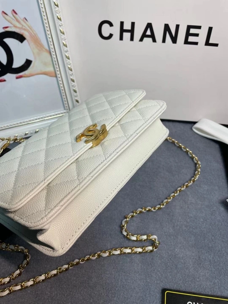 Chanel 19 Bags 4017-1971