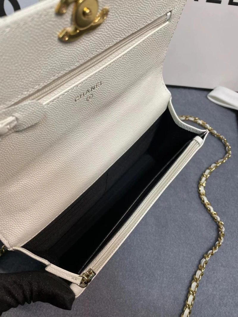 Chanel 19 Bags 4017-1971