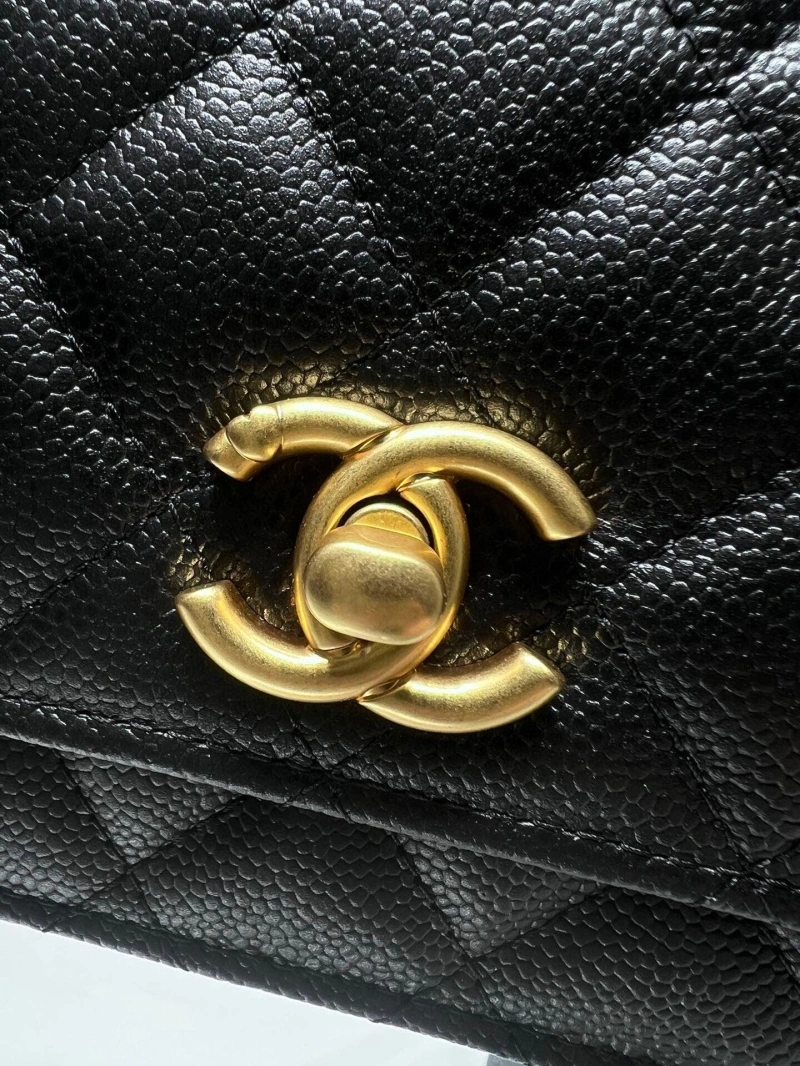 Chanel Satchel Bags 4017-1978