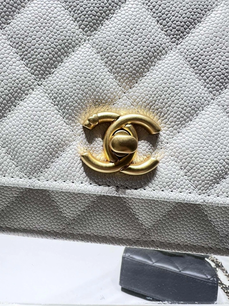 Chanel Satchel Bags 4017-1979