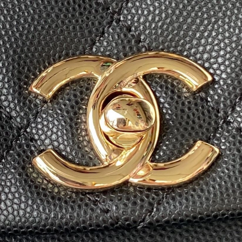 Chanel Backpacks 4017-2018