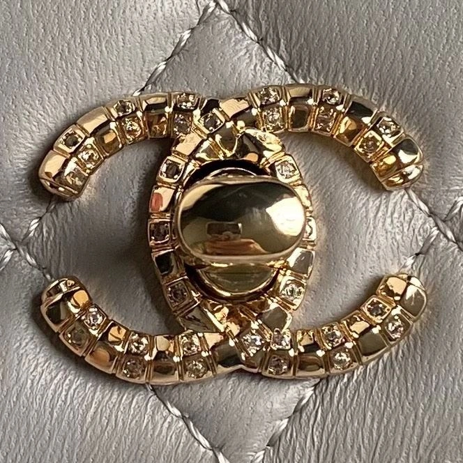 Chanel WOC Bags 4017-2076