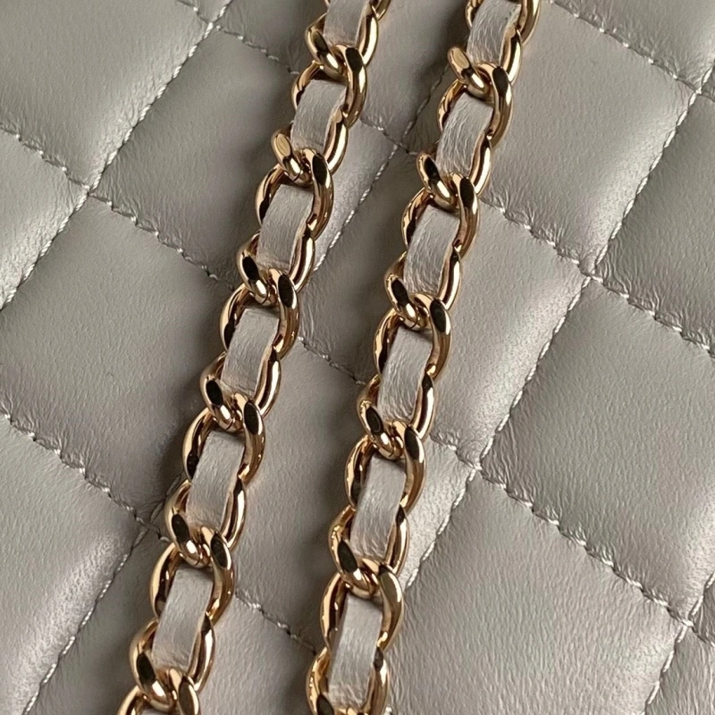 Chanel WOC Bags 4017-2076