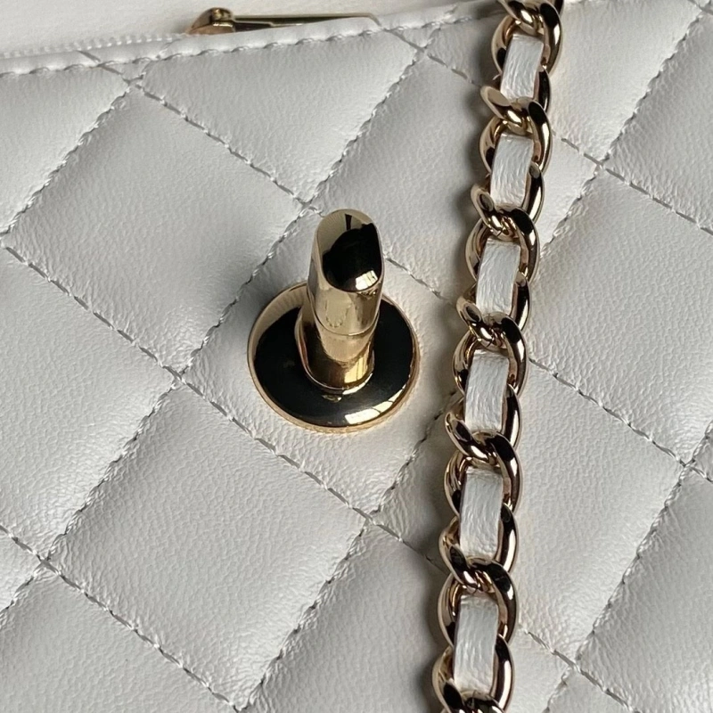 Chanel WOC Bags 4017-2077