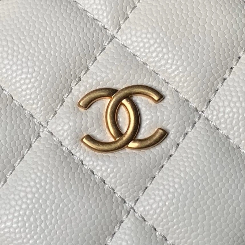 Chanel WOC Bags 4017-2078