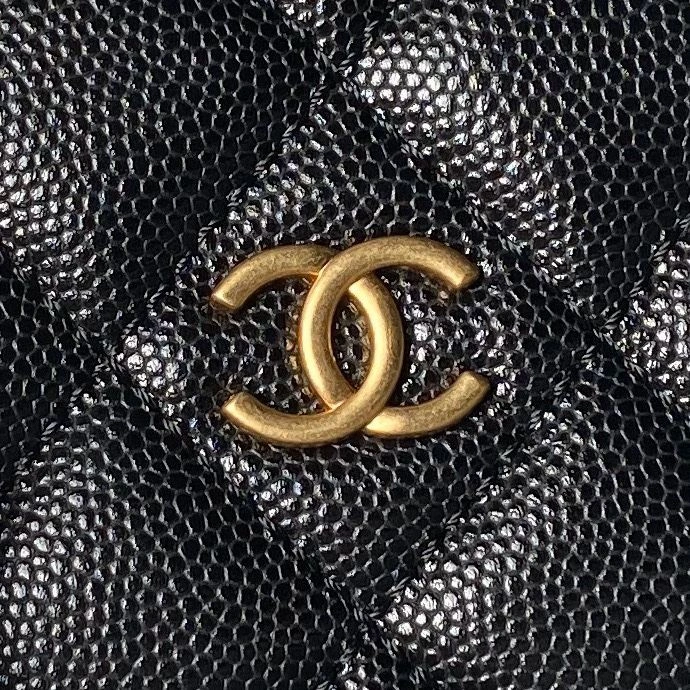Chanel WOC Bags 4017-2079