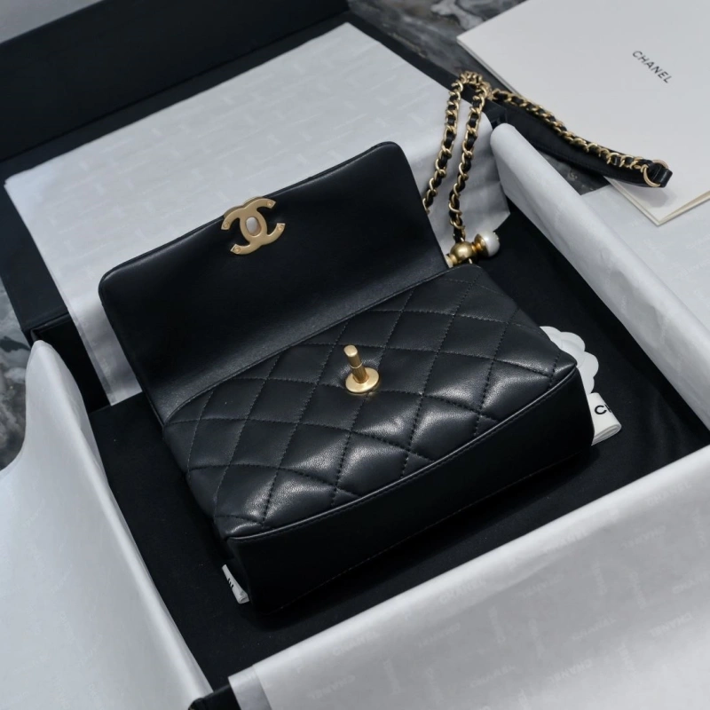 Chanel WOC Bags 4017-2131