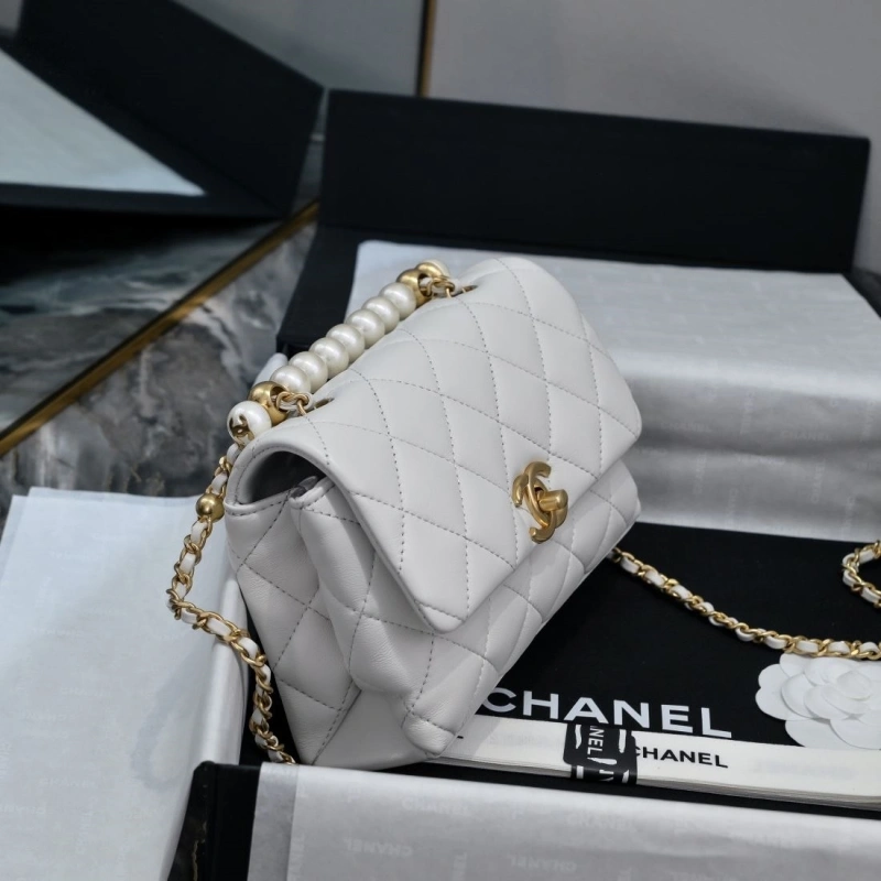 Chanel WOC Bags 4017-2132