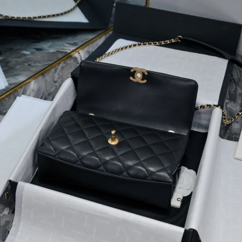 Chanel WOC Bags 4017-2135