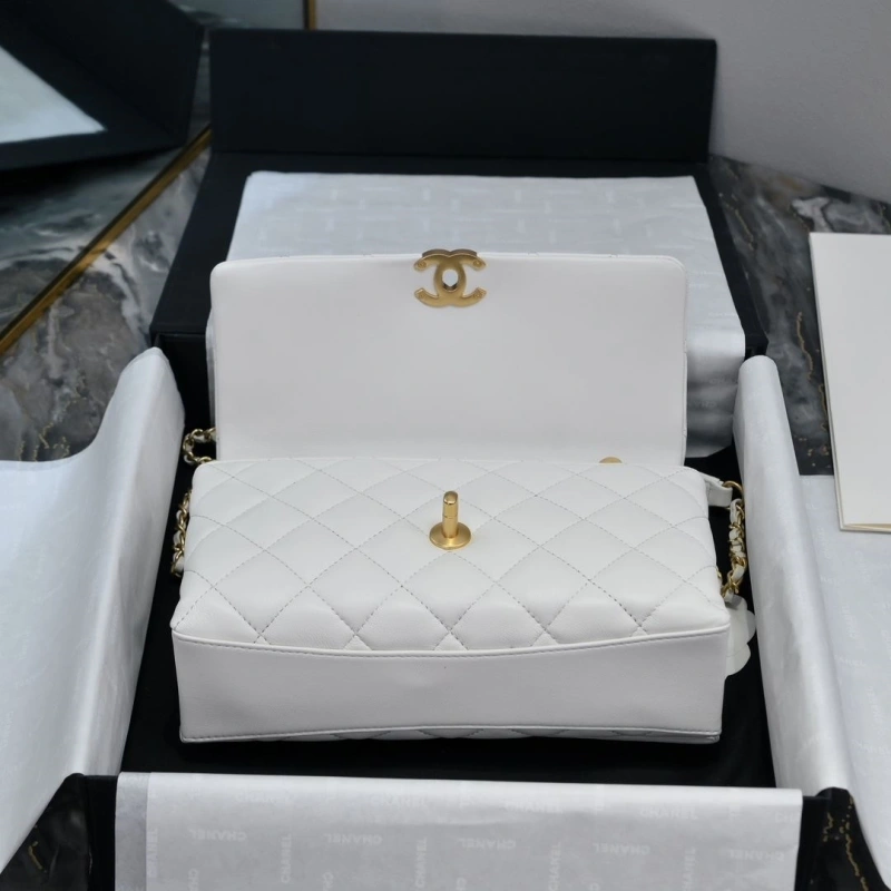 Chanel WOC Bags 4017-2136
