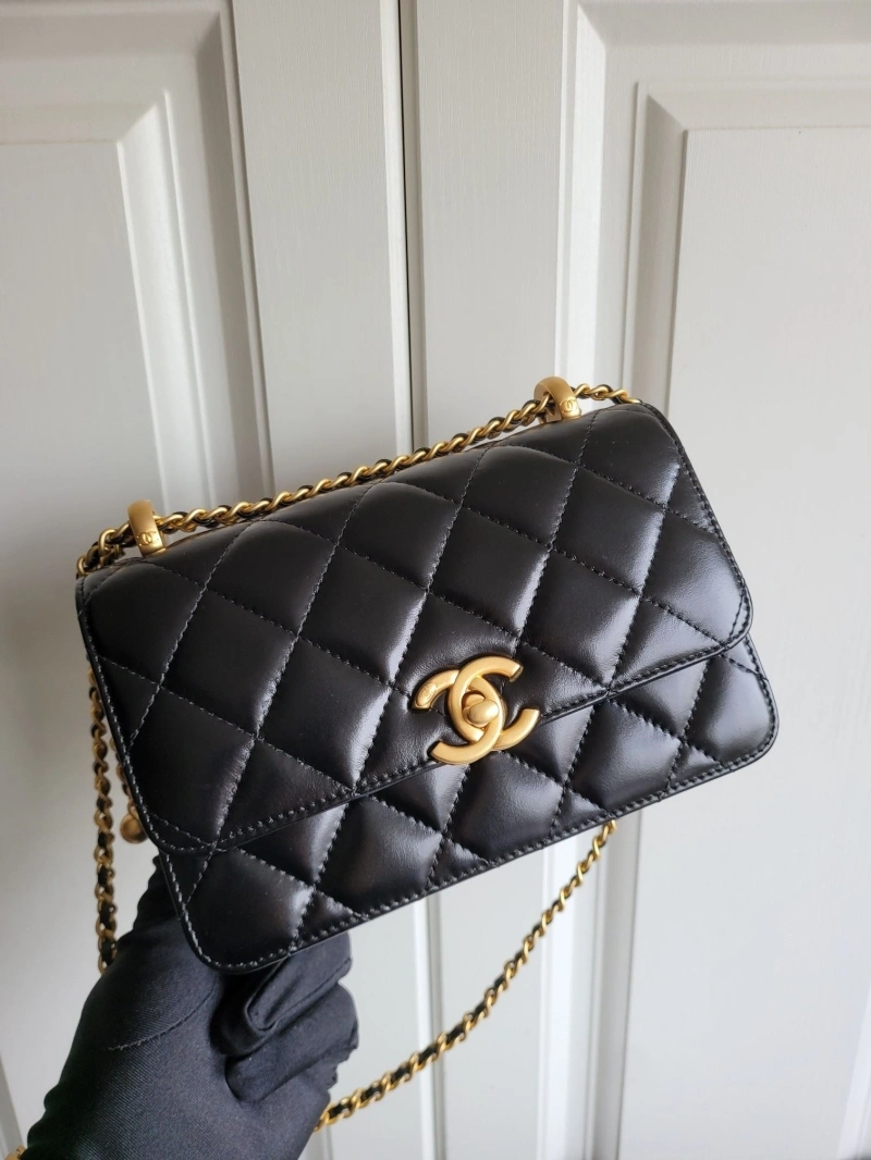 Chanel Satchel Bags 4017-2138