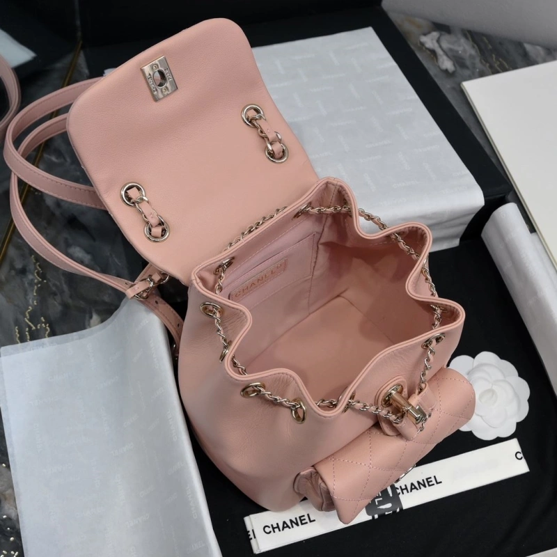 Chanel Backpacks 4017-2245