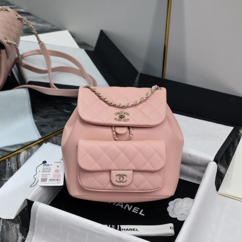 Chanel Backpacks 4017-2246