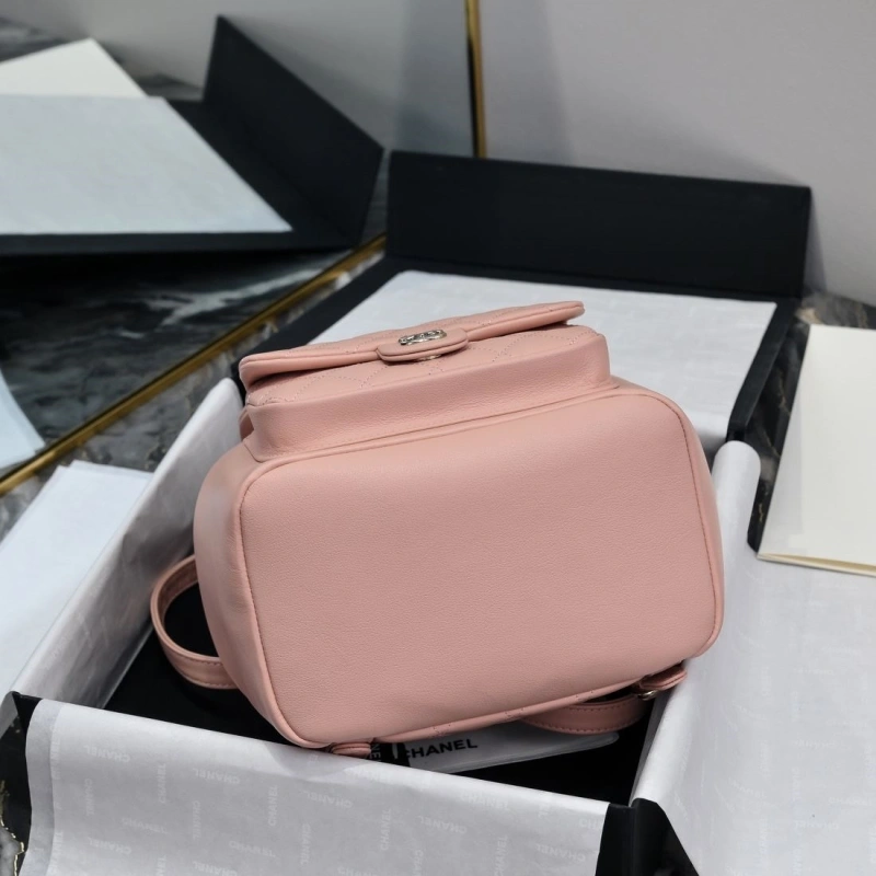 Chanel Backpacks 4017-2246