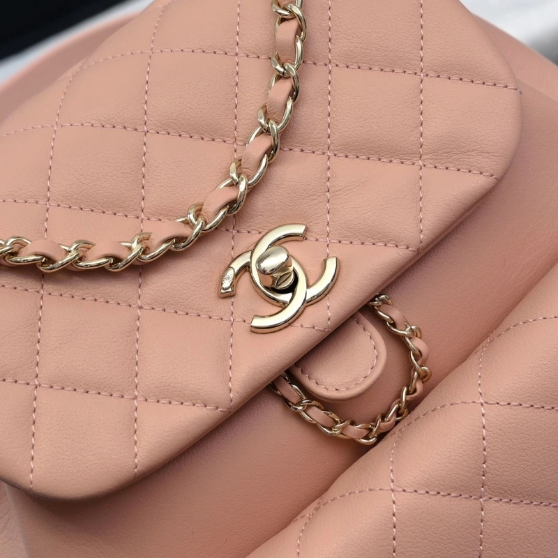 Chanel Backpacks 4017-2246